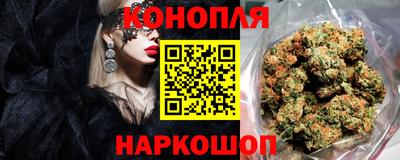 spice Гатчина