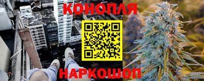 СК Гай