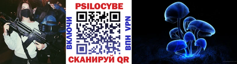 Галлюциногенные грибы Psilocybine cubensis  Алатырь 