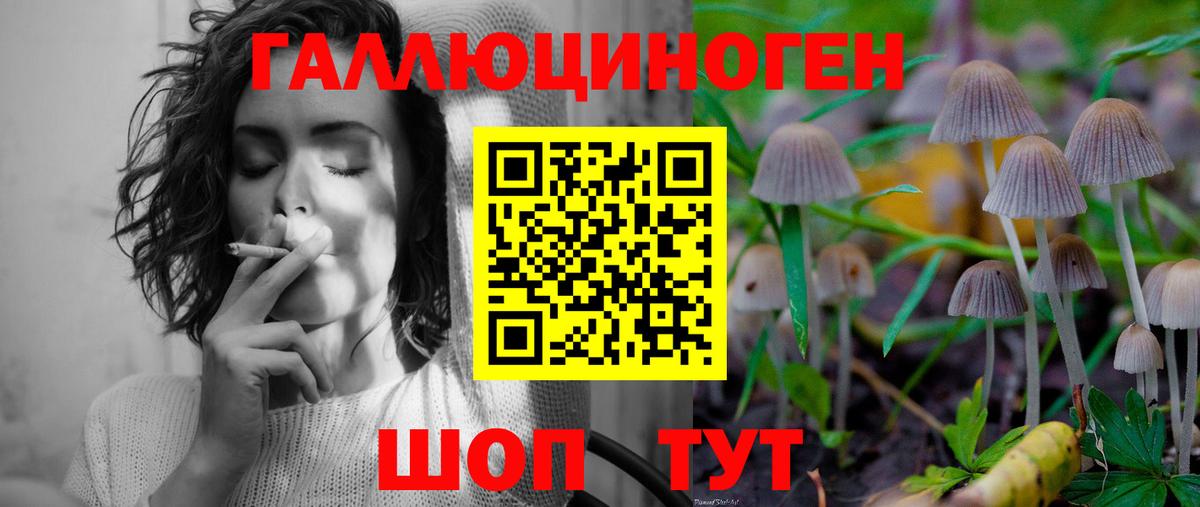 Псилоцибиновые грибы MAGIC MUSHROOMS  Вход с VPN  Алатырь  Псилоцибиновые грибы мицелий 