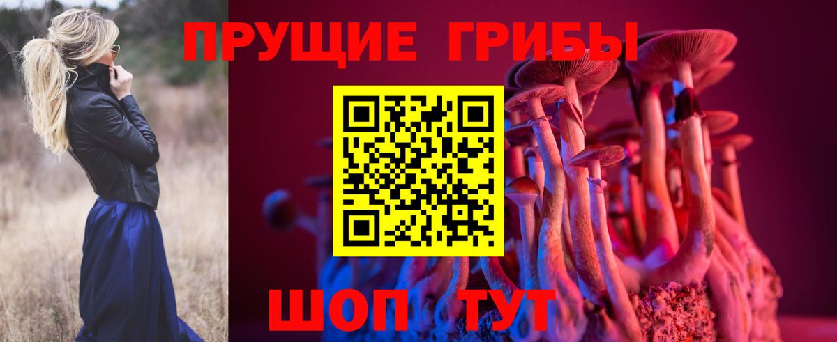 Галлюциногенные грибы прущие грибы  где купить наркотик  Алатырь  Вход с VPN 