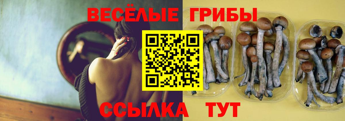 Галлюциногенные грибы мухоморы  Алатырь 